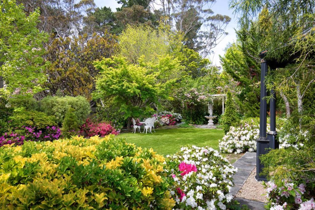 Winston Cottage At Three Sisters Katoomba Eksteriør billede