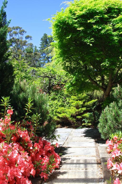 Winston Cottage At Three Sisters Katoomba Eksteriør billede