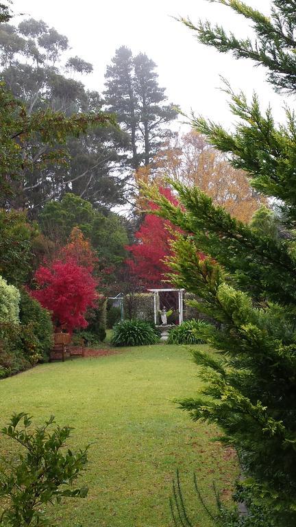 Winston Cottage At Three Sisters Katoomba Eksteriør billede