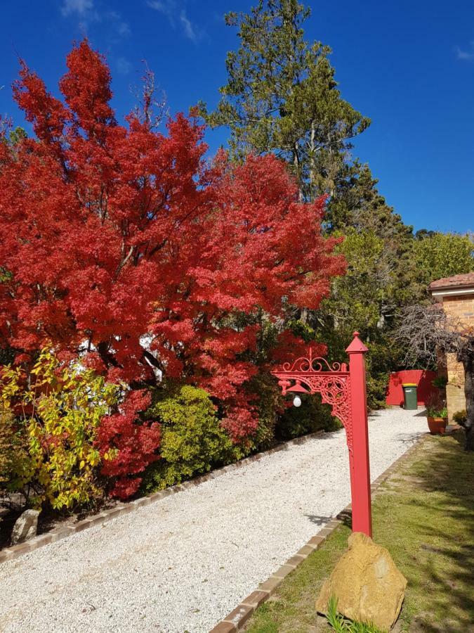 Winston Cottage At Three Sisters Katoomba Eksteriør billede